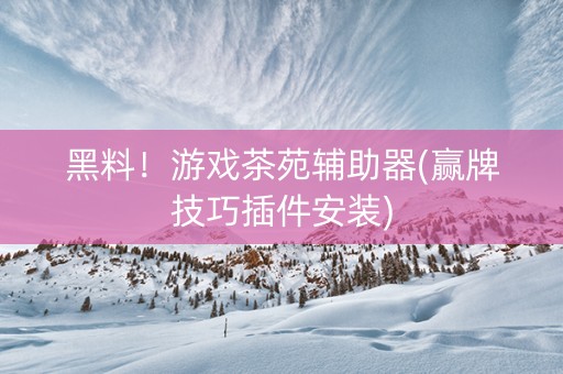 黑料！游戏茶苑辅助器(赢牌技巧插件安装)