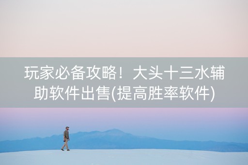玩家必备攻略！大头十三水辅助软件出售(提高胜率软件)