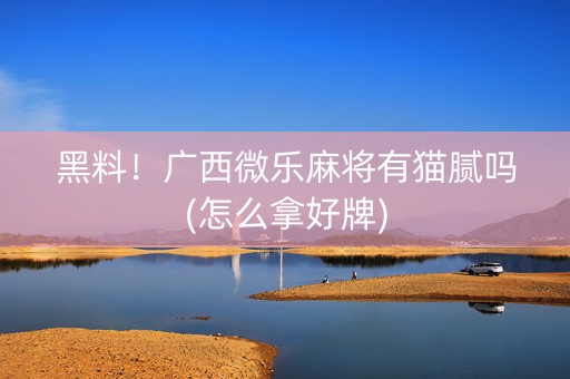 黑料！广西微乐麻将有猫腻吗(怎么拿好牌)