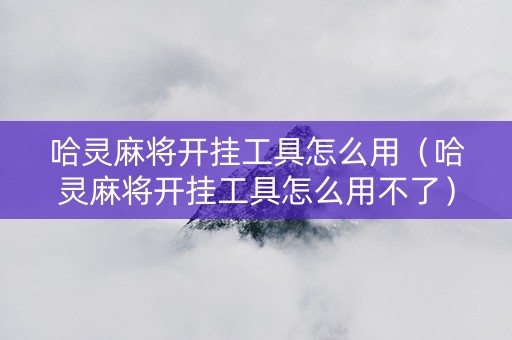 哈灵麻将开挂工具怎么用（哈灵麻将开挂工具怎么用不了）