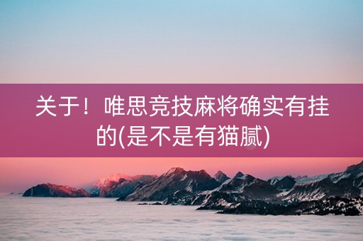 关于！唯思竞技麻将确实有挂的(是不是有猫腻)