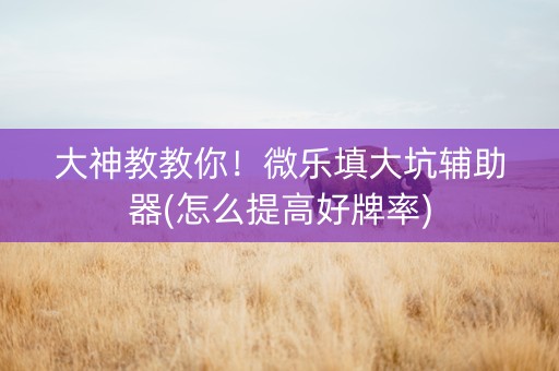 大神教教你！微乐填大坑辅助器(怎么提高好牌率)