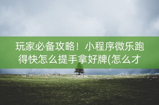玩家必备攻略！小程序微乐跑得快怎么提手拿好牌(怎么才能赢得多)