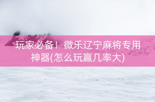 玩家必备！微乐辽宁麻将专用神器(怎么玩赢几率大)