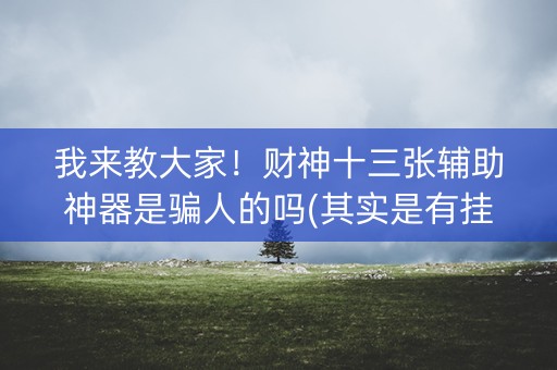 我来教大家！财神十三张辅助神器是骗人的吗(其实是有挂的)