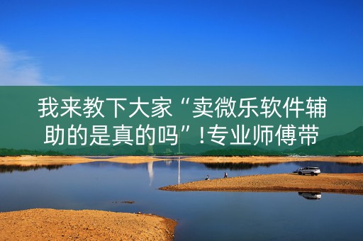 我来教下大家“卖微乐软件辅助的是真的吗”!专业师傅带你一起了解（详细教程）-知乎