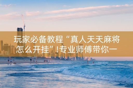 玩家必备教程“真人天天麻将怎么开挂”!专业师傅带你一起了解（详细教程）-知乎