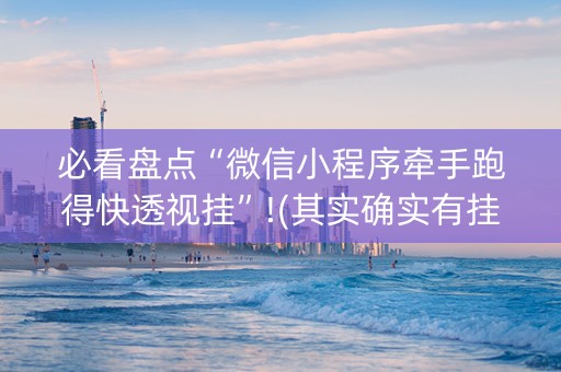 必看盘点“微信小程序牵手跑得快透视挂”!(其实确实有挂)-知乎