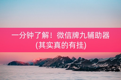 一分钟了解！微信牌九辅助器(其实真的有挂)