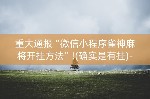重大通报“微信小程序雀神麻将开挂方法”!(确实是有挂)-知乎