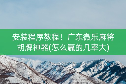 安装程序教程！广东微乐麻将胡牌神器(怎么赢的几率大)