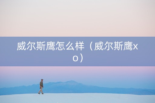 威尔斯鹰怎么样（威尔斯鹰xo）