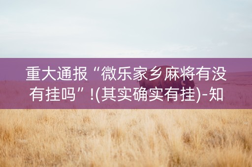 重大通报“微乐家乡麻将有没有挂吗”!(其实确实有挂)-知乎