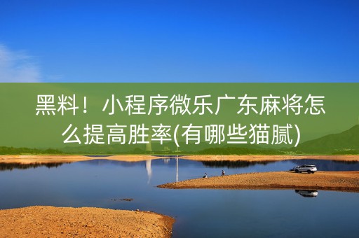 黑料！小程序微乐广东麻将怎么提高胜率(有哪些猫腻)