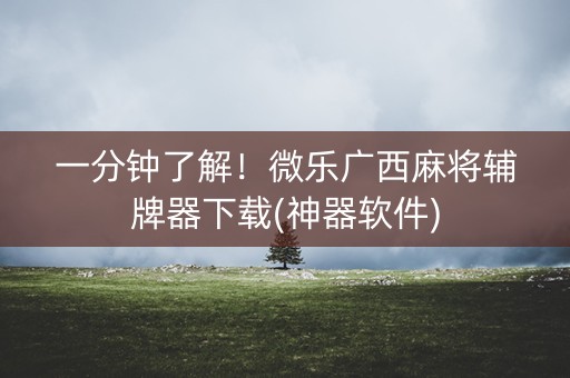 一分钟了解！微乐广西麻将辅牌器下载(神器软件)