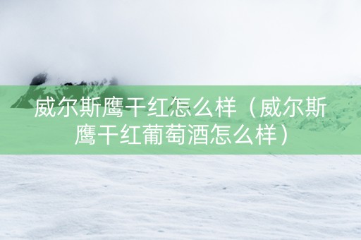 威尔斯鹰干红怎么样（威尔斯鹰干红葡萄酒怎么样）