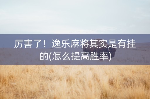 厉害了！逸乐麻将其实是有挂的(怎么提高胜率)