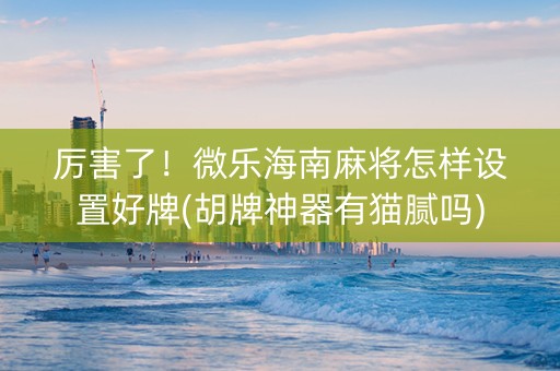 厉害了！微乐海南麻将怎样设置好牌(胡牌神器有猫腻吗)
