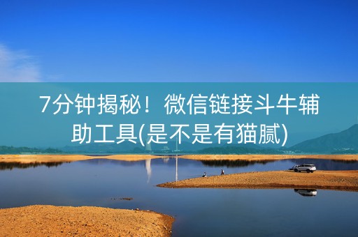 7分钟揭秘！微信链接斗牛辅助工具(是不是有猫腻)