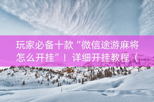 玩家必备十款“微信途游麻将怎么开挂”！详细开挂教程（确实真的有挂)-知乎