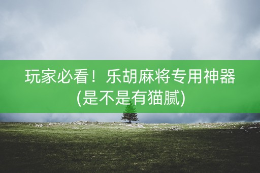 玩家必看！乐胡麻将专用神器(是不是有猫腻)
