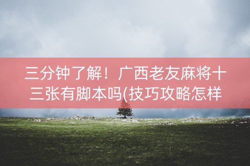 三分钟了解！广西老友麻将十三张有脚本吗(技巧攻略怎样拿好牌)
