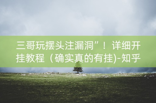 三哥玩摆头注漏洞”！详细开挂教程（确实真的有挂)-知乎