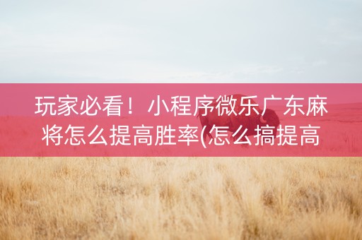 玩家必看！小程序微乐广东麻将怎么提高胜率(怎么搞提高胜率)
