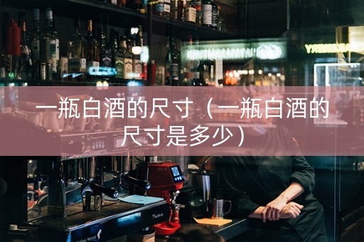 一瓶白酒的尺寸（一瓶白酒的尺寸是多少）