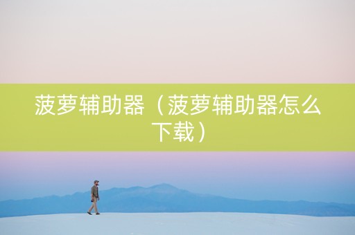 菠萝辅助器（菠萝辅助器怎么下载）