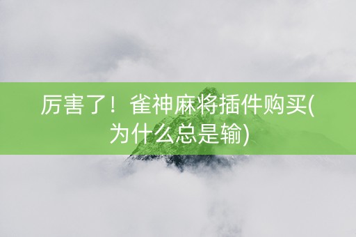厉害了！雀神麻将插件购买(为什么总是输)