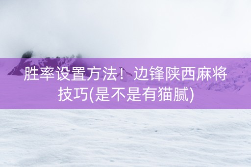 胜率设置方法！边锋陕西麻将技巧(是不是有猫腻)