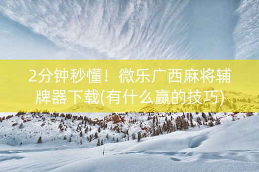 2分钟秒懂！微乐广西麻将辅牌器下载(有什么赢的技巧)