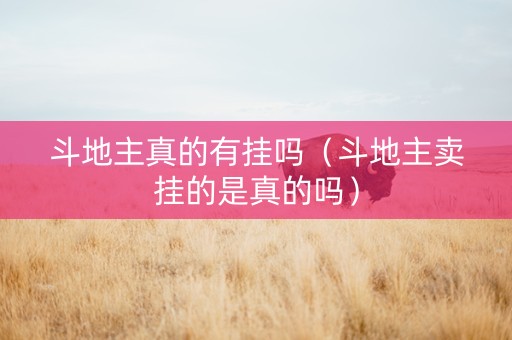 斗地主真的有挂吗（斗地主卖挂的是真的吗）