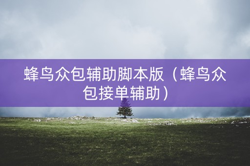 蜂鸟众包辅助脚本版（蜂鸟众包接单辅助）