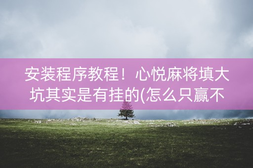 安装程序教程！心悦麻将填大坑其实是有挂的(怎么只赢不输)