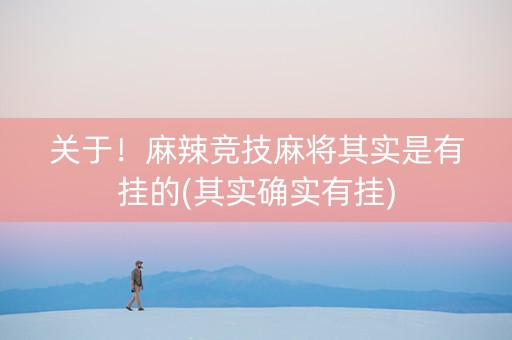 关于！麻辣竞技麻将其实是有挂的(其实确实有挂)