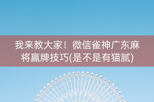 我来教大家！微信雀神广东麻将赢牌技巧(是不是有猫腻)