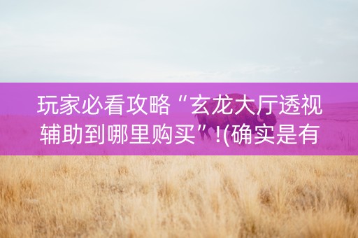 玩家必看攻略“玄龙大厅透视辅助到哪里购买”!(确实是有挂)-知乎