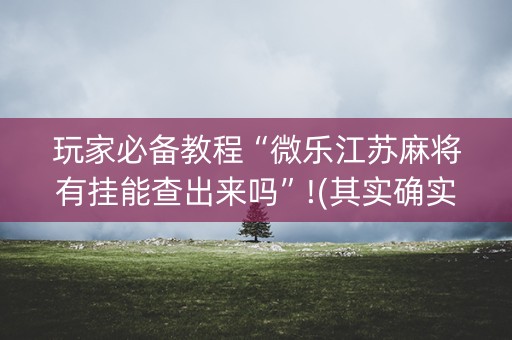 玩家必备教程“微乐江苏麻将有挂能查出来吗”!(其实确实有挂)-知乎