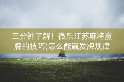 三分钟了解！微乐江苏麻将赢牌的技巧(怎么能赢发牌规律)