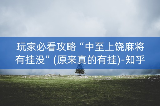 玩家必看攻略“中至上饶麻将有挂没”(原来真的有挂)-知乎