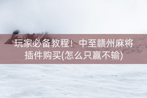 玩家必备教程！中至赣州麻将插件购买(怎么只赢不输)