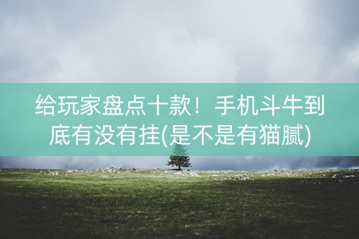 给玩家盘点十款！手机斗牛到底有没有挂(是不是有猫腻)