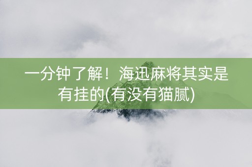 一分钟了解！海迅麻将其实是有挂的(有没有猫腻)