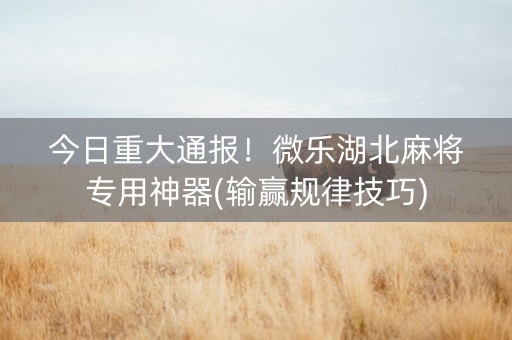 今日重大通报！微乐湖北麻将专用神器(输赢规律技巧)