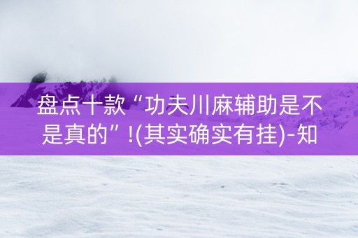 盘点十款“功夫川麻辅助是不是真的”!(其实确实有挂)-知乎