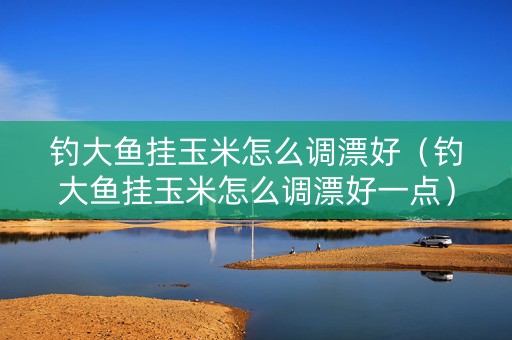 钓大鱼挂玉米怎么调漂好（钓大鱼挂玉米怎么调漂好一点）