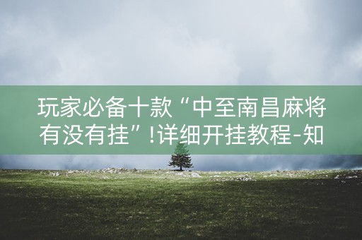 玩家必备十款“中至南昌麻将有没有挂”!详细开挂教程-知乎