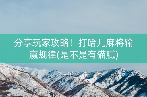分享玩家攻略！打哈儿麻将输赢规律(是不是有猫腻)